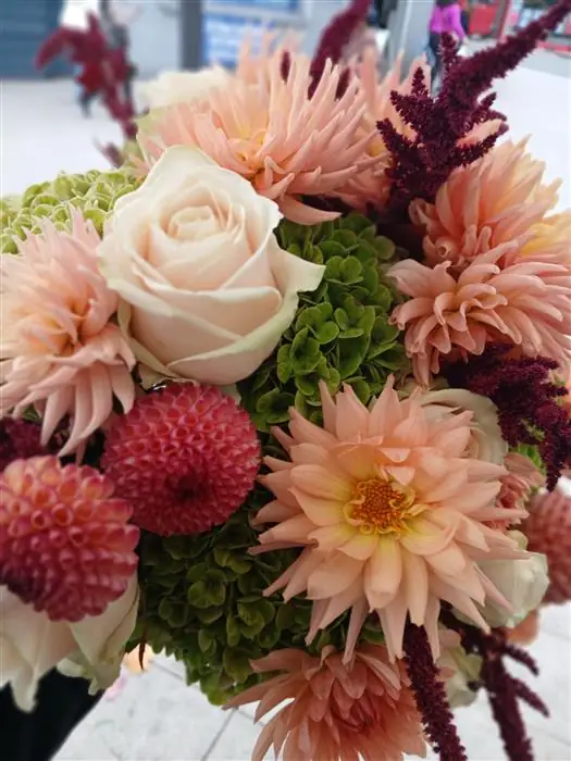 Hand tied bouquet of dahlias