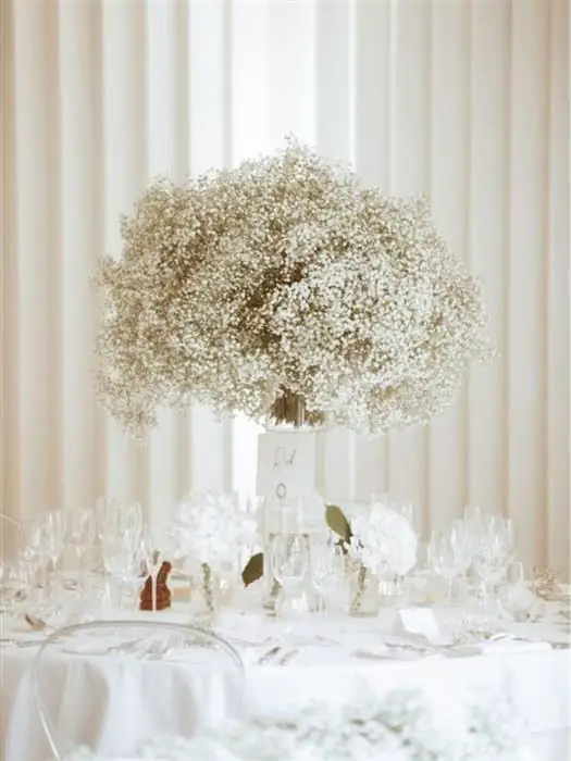 Cloud of gypsophila above a wedding table