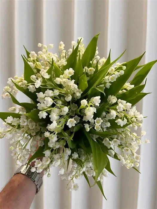 Bouquet of lily of the valley