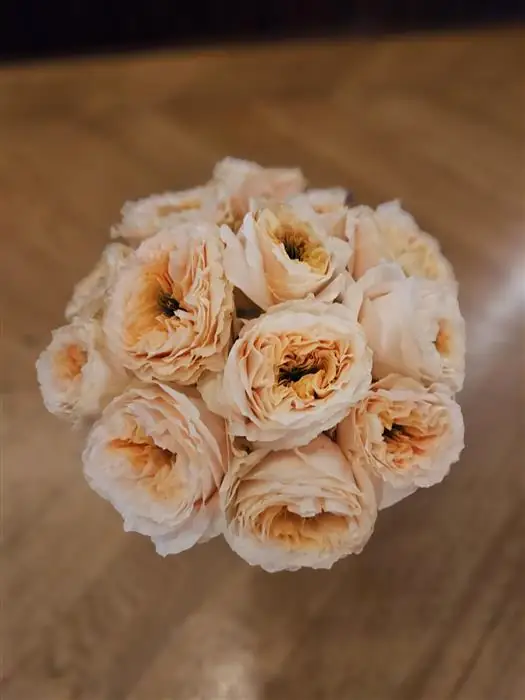 Garden Rose, Hand tied bouquet
