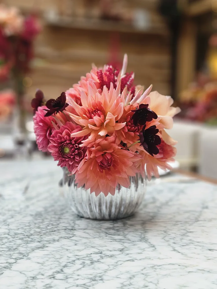 Coral and pink dahlias with chocolate cosmos in a silver vase on a marble table